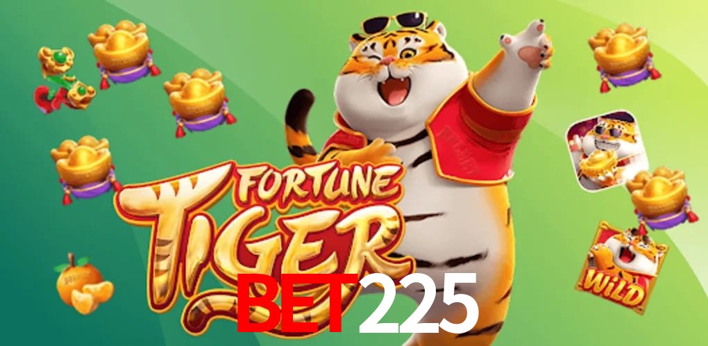 Security Systems bet225